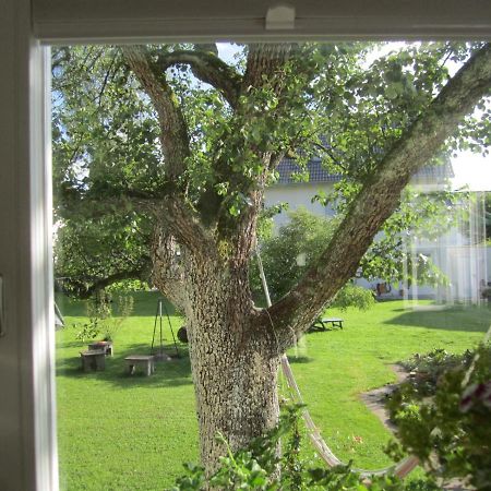 Apartment Am Apfelbaum 罗伊特林根 外观 照片